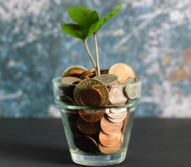 Investment and Finance